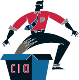Get the most out of your CIO