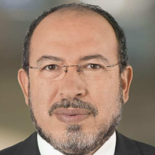 IMD Professor Tawfik Jelassi