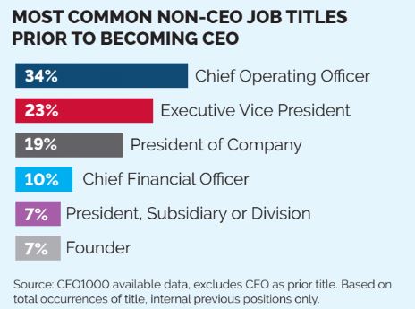 The Life Cycle Of The Ceo Phase One Preparation