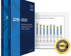 2020 Private Company Comp Report