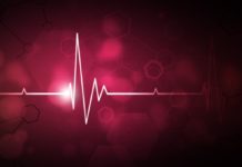 The Beating Heart Powering Transformation