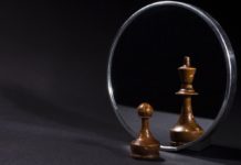 What I Wish I Could Tell My Younger Self About Business