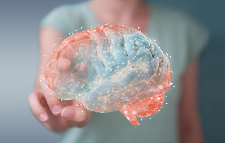 Businesswoman using digital 3D projection of a human brain 3D rendering