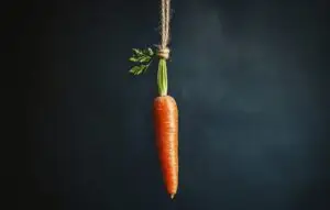 Dangling carrot
