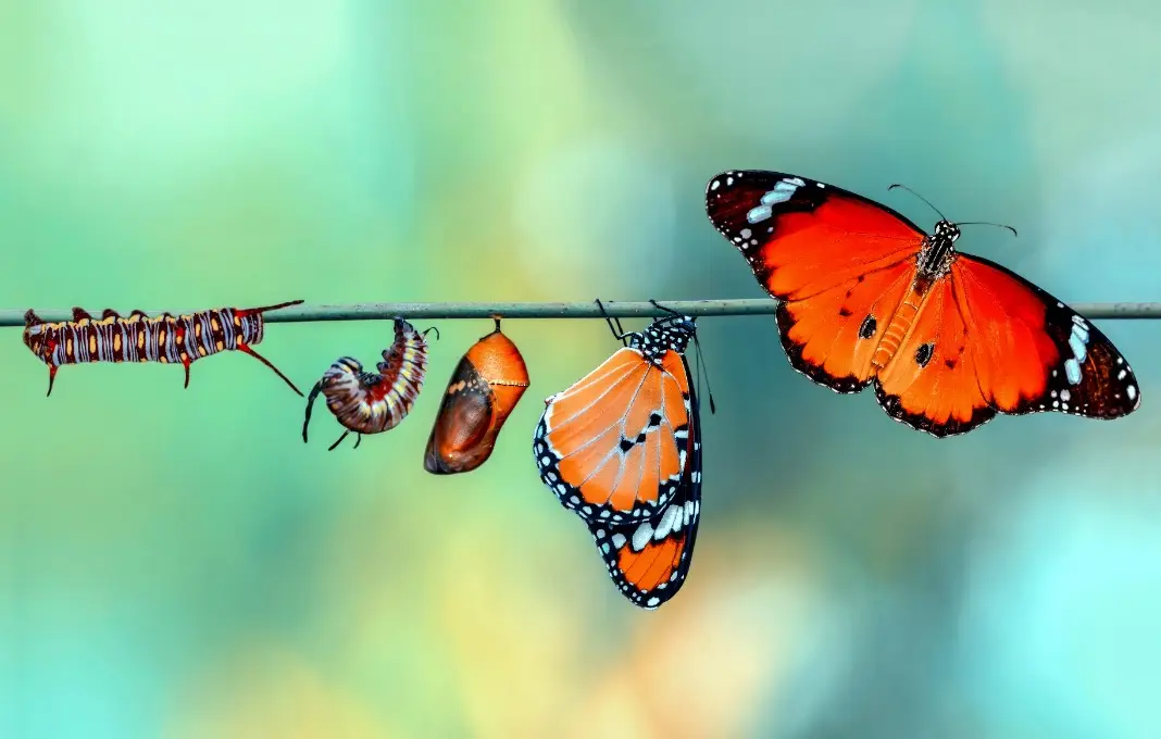 The CEO Job Has Changed. Here’s What I’ve Learned Leading Through It
