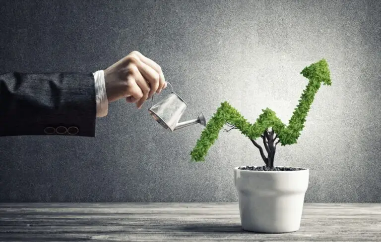 Concept of investment income and growth with tree in pot
