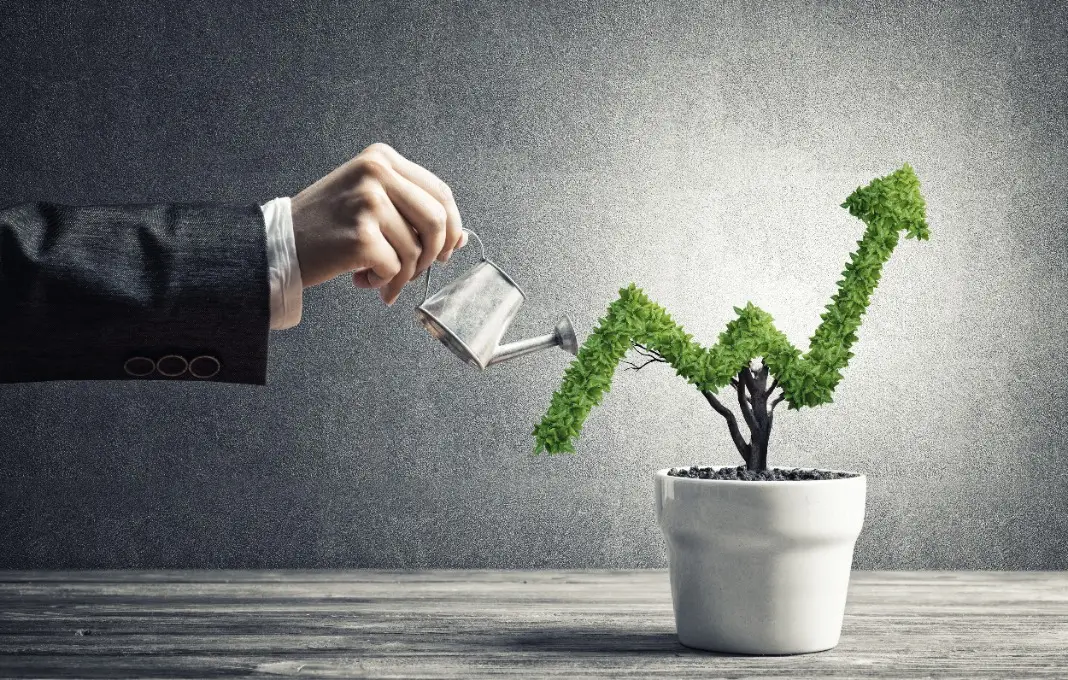 Concept of investment income and growth with tree in pot