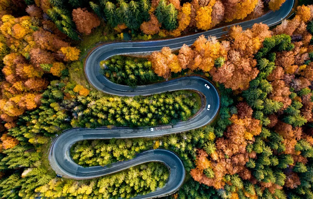 Perfect aerial view of winding forest road in the mountains. Colourful landscape with rural road, trees with yellow leaves.