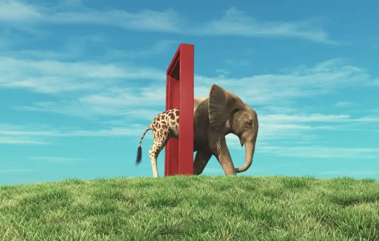 Red doorway with a giraffe entering and an elephant emerging