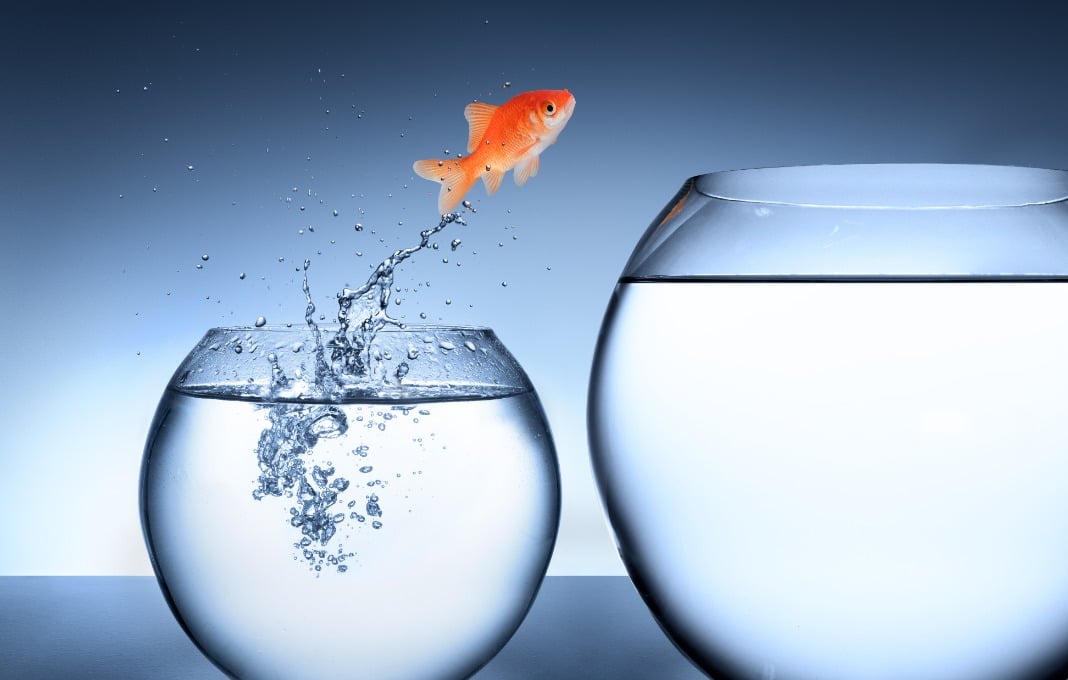 The Real Growth Advantage: An Organization Built For Change The Real Growth Advantage: An Organization Built For Change